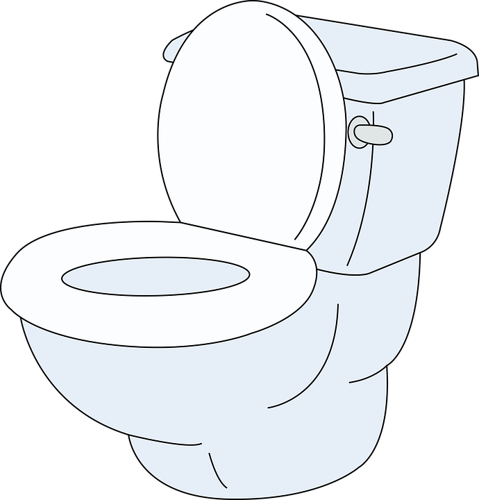 toilet installation