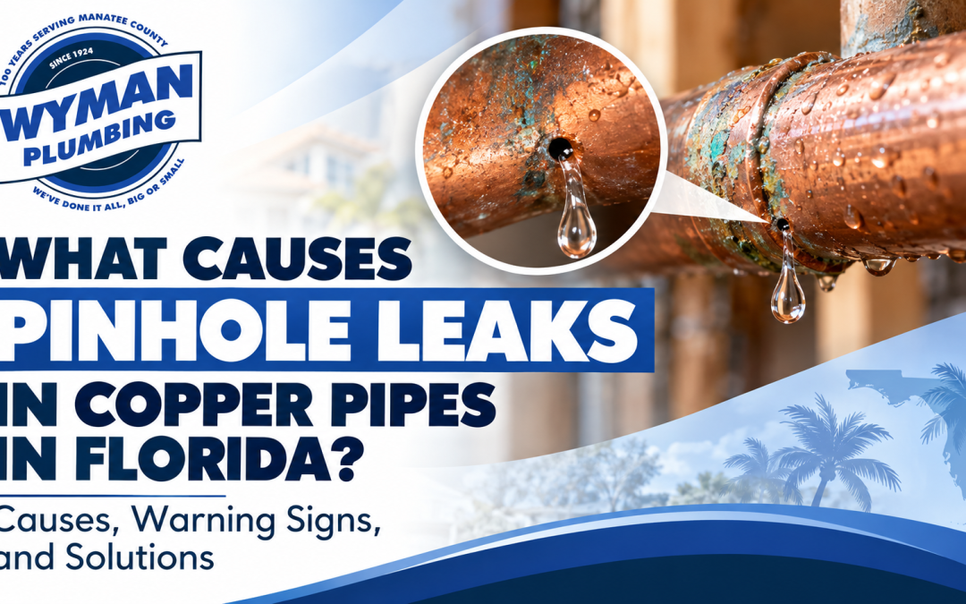 What Causes Pinhole Leaks in Copper Pipes in Florida? image